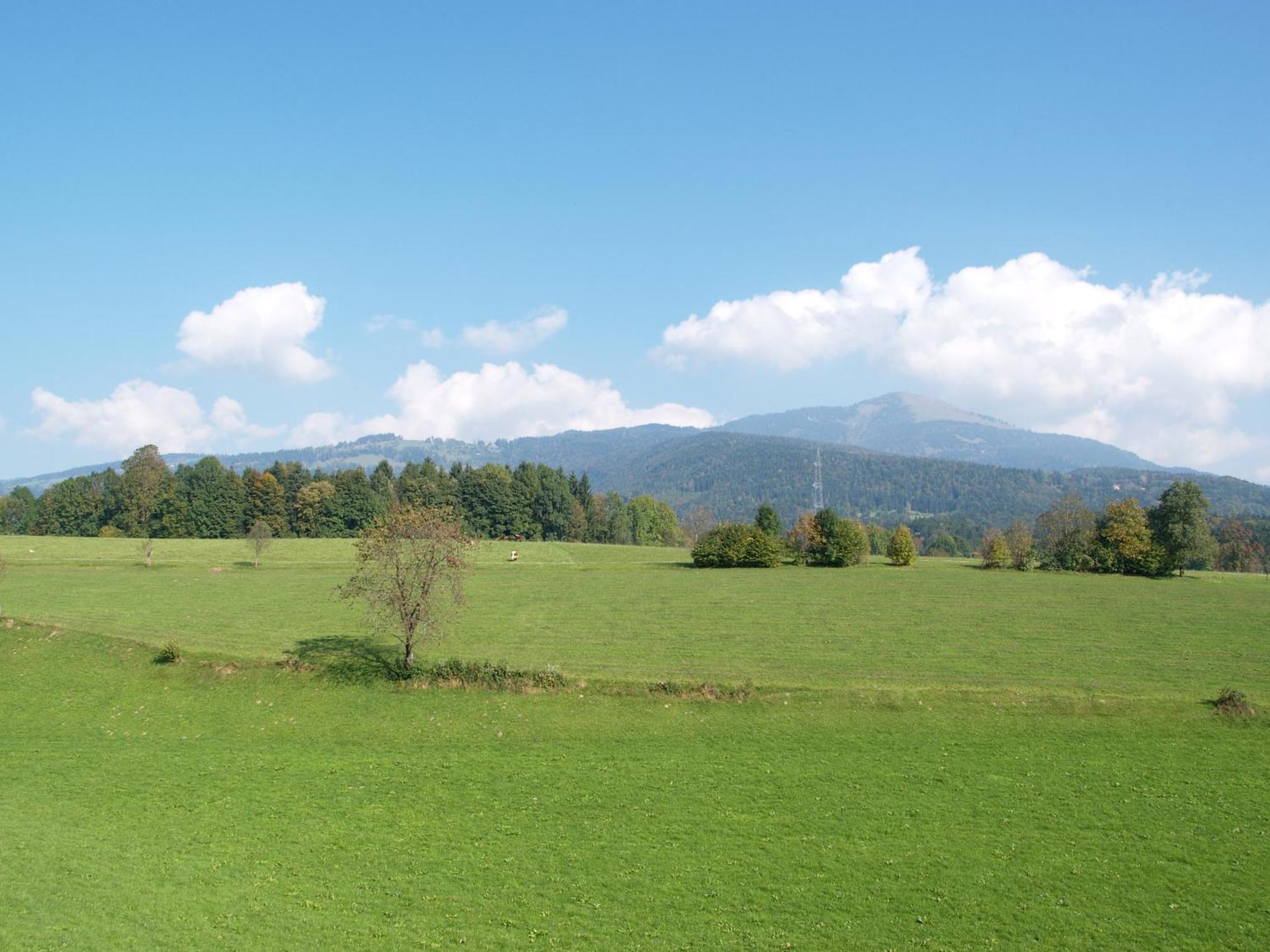 Neuwirt - Boutiquehotel & Wirtshaus Bad Vigaun Luaran gambar