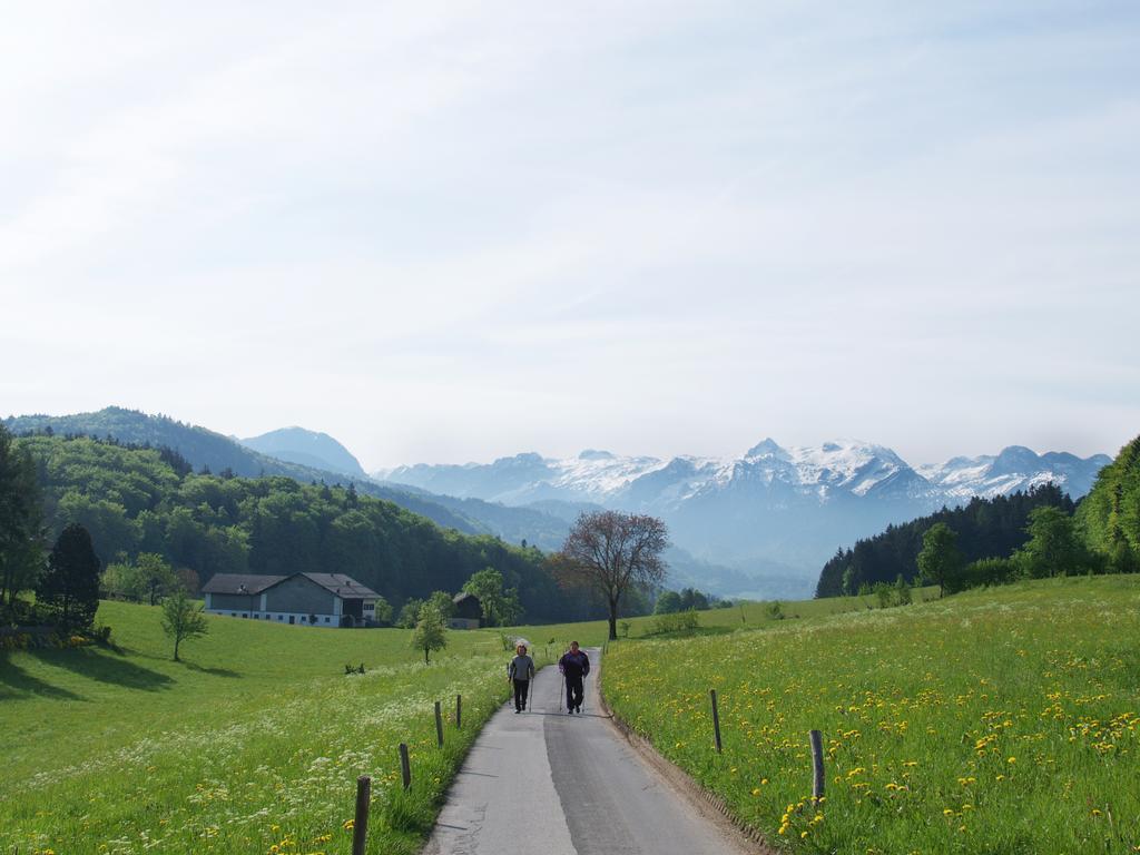 Neuwirt - Boutiquehotel & Wirtshaus Bad Vigaun Luaran gambar